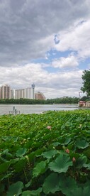 公园风景  