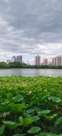 公园风景  