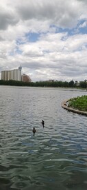 公园风景  
