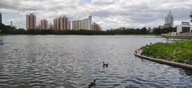 公园风景  