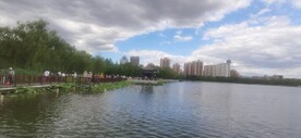公园风景 