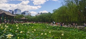 公园风景  