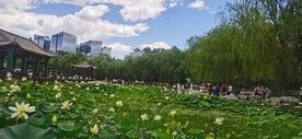公园风景 