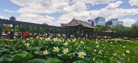 公园风景 