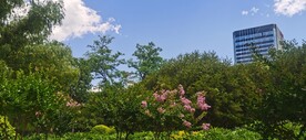 公园风景 
