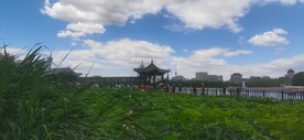 公园风景 