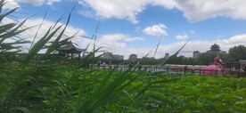 公园风景 