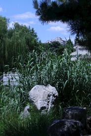 公园风景 