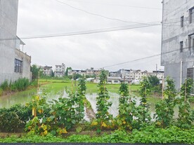 乡村菜地水田