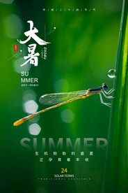 大暑海报