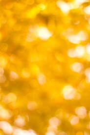 多彩光韵光斑夜空背景