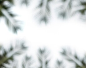 多彩光韵光斑夜空背景