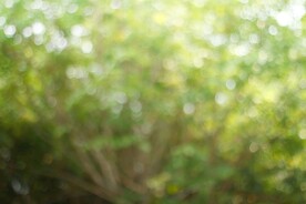 多彩光韵光斑夜空背景