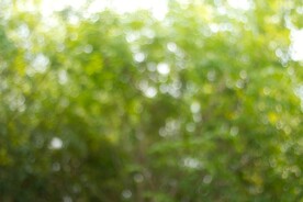 多彩光韵光斑夜空背景