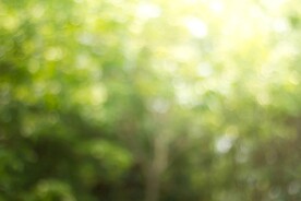 多彩光韵光斑夜空背景