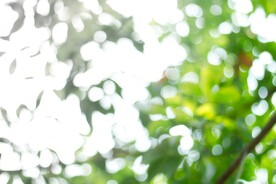 多彩光韵光斑夜空背景