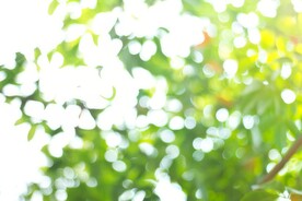 多彩光韵光斑夜空背景