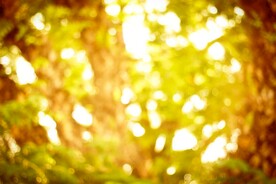 多彩光韵光斑夜空背景