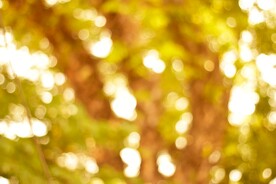 多彩光韵光斑夜空背景