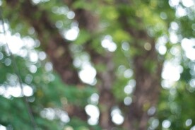 多彩光韵光斑夜空背景