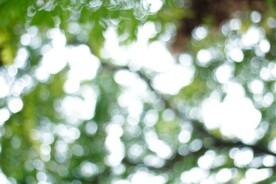 多彩光韵光斑夜空背景