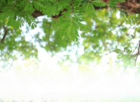 多彩光韵光斑夜空背景