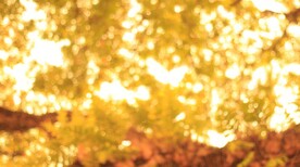 多彩光韵光斑夜空背景