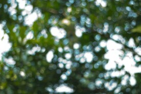 多彩光韵光斑夜空背景