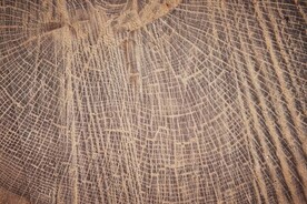 木板木纹背景纹理花纹素材