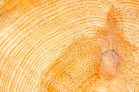 木板木纹背景纹理花纹素材