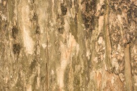 木板木纹背景纹理花纹素材