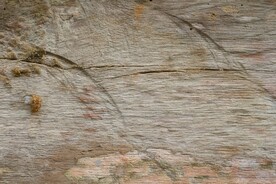 木板木纹背景纹理花纹素材