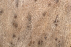 木板木纹背景纹理花纹素材