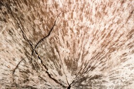 木板木纹背景纹理花纹素材