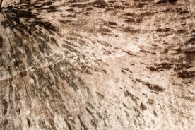 木板木纹背景纹理花纹素材