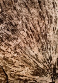 木板木纹背景纹理花纹素材