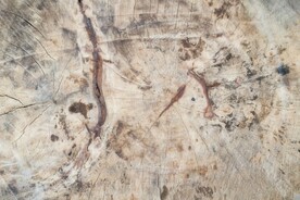 木板木纹背景纹理花纹素材