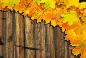 木板木纹背景纹理花纹素材