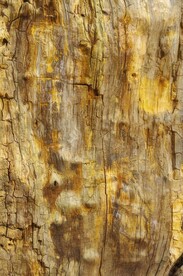 木板木纹背景纹理花纹素材