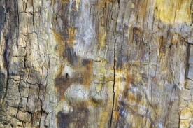 木板木纹背景纹理花纹素材