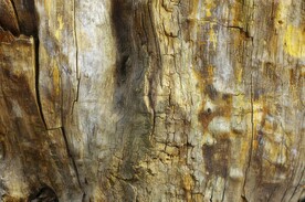 木板木纹背景纹理花纹素材