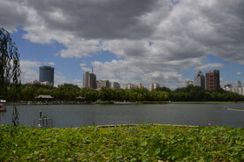 公园风景 