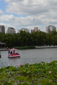 公园风景 