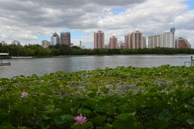 公园风景  