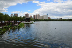 公园风景  