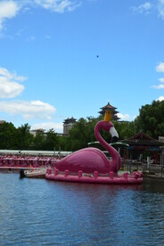 公园风景 