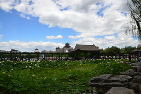 公园风景 