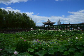 公园风景  