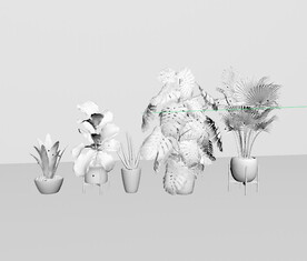 C4D模型 绿色植物