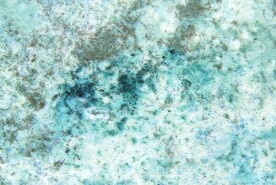 石纹大理石青砂岩纹理素材